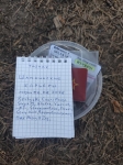 Без подписи
