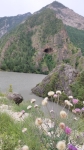 Без подписи