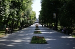Без подписи
