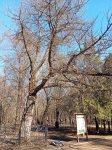 Без подписи