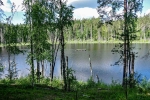 Без подписи