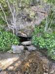 Родник