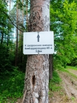 Без подписи