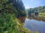 Без подписи