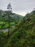 Без подписи