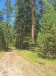 Без подписи