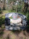 Без подписи