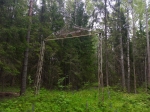 Арка