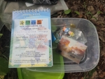 Без подписи