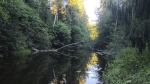 Без подписи