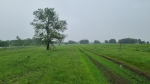 Старое место тайника