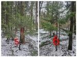 Без подписи