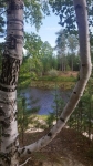 Без подписи