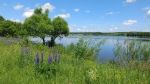 Без подписи