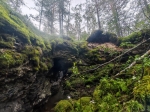 Без подписи