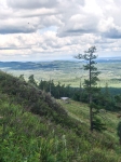Без подписи