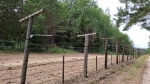 Без подписи
