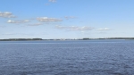 Без подписи