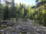 Без подписи