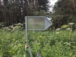 Без подписи