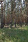 Без подписи