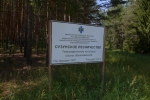 Без подписи