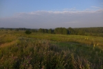 Без подписи