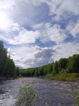 Без подписи