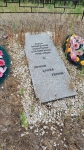 Без подписи