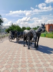 Без подписи