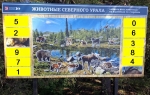 Без подписи