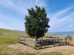 Без подписи