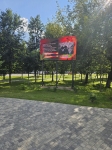 Без подписи