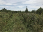 Без подписи