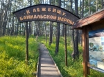 Без подписи