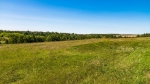 Городище Мшанка 2