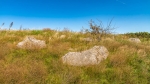Камни на городище Мшанка 1