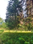 Без подписи
