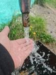 Без подписи