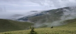 Без подписи