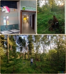 Без подписи