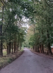 Аллея