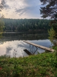 Без подписи
