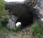 Без подписи