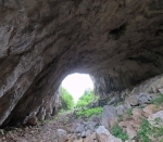 Без подписи