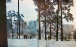 Парк Лесные сараи в 1975-79 годах. Фото Н. С. Романова
