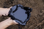 Тюменская нефть