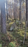 Без подписи