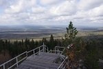 Без подписи