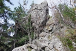 Без подписи